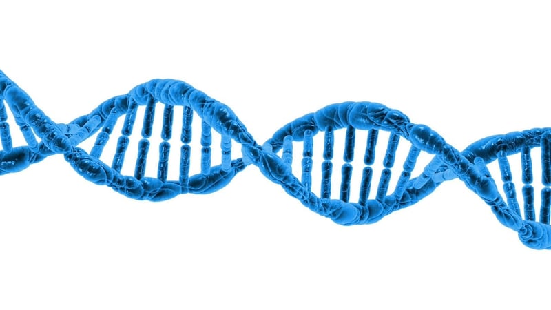 Genetic Engineering